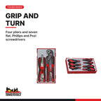 Teng Tools Pliers Set and Screwdriver Set, built for the job - BDL-PLIER-DRIVER