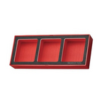 Bandeja de almacenamiento Teng Tools FOAMX2 3 compartimentos — TEZ01