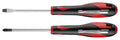 Teng Tools Screwdriver Set Flat & PH 2 Pieces — MDMC702N