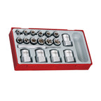 Juego de extractores de espárragos Teng Tools TT1, 18 piezas — TTBE18