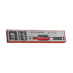Juego de llave dinamométrica Teng Tools 3/8 20-110 Nm TTX4 22 piezas — TTX3892