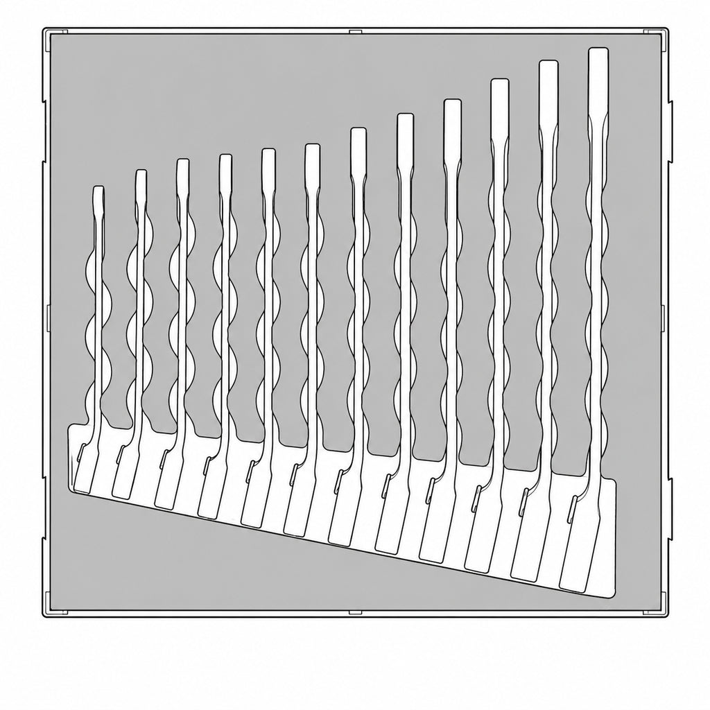Ratcheting Combination Spanner Set R FOAM2 12 Pieces