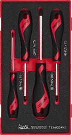 Juego de destornilladores Teng Tools PH/PZ ESPUMA1 4 piezas — TEAMD04N1