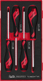 Juego de destornilladores Teng Tools TX FOAM1 de 4 piezas — TEAMD04TXN