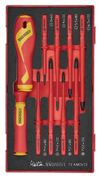 Teng Tools Juego de destornilladores aislados con puntas intercambiables Foam1 10 piezas — TEAMDV10