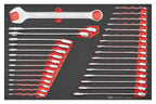 Juego de llaves combinadas y de carraca métricas Teng Tools FOAM4X4, 31 piezas