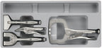 Juego de Alicates de Fuerza Teng Tools TT4 de 4 Piezas — TTPSPG