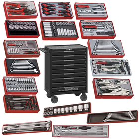 Teng Tools 231 Piece 26 Inch Wide Black Complete Mixed General Hand Tool Kit - TSW26B9-KIT1