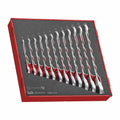 Teng Tools TED6512RS Ratcheting Combination Wrench Set RS FOAM2 12 on a white background