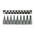 Teng Tools M3813TX 9 Piece 3/8 Inch Drive Torx Bit Socket Set with Clip on a white background