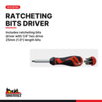 Teng Tools MD9053N Screwdriver Set Mixed 54 Pieces, includes ratcheting bits driver with 1/4" hex drive 25mm (1.0") length
