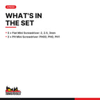 Teng Tools MDM706 Mini Screwdriver Set Flat & PH 6 Pieces, what's in the tray