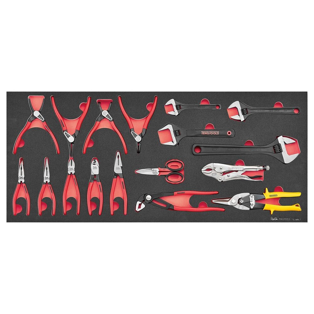 Teng Tools Plier Set FOAM6X6 17 Pieces