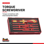 Teng Tools TC-6TE04 MECCA PRO TC-6 FOAM Electrician Tool Kit 36 Pieces, torque screwdriver with interchangeable blades