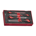 Teng Tools TEAMD04N Screwdriver Set Flat FOAM1 4 Pieces on a white background