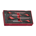 Teng Tools TEAMD04N1 Screwdriver Set PH/PZ FOAM1 4 Pieces on a white background
