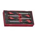Teng Tools TEAMD04TXN Screwdriver Set TX FOAM1 4 Pieces on a white background