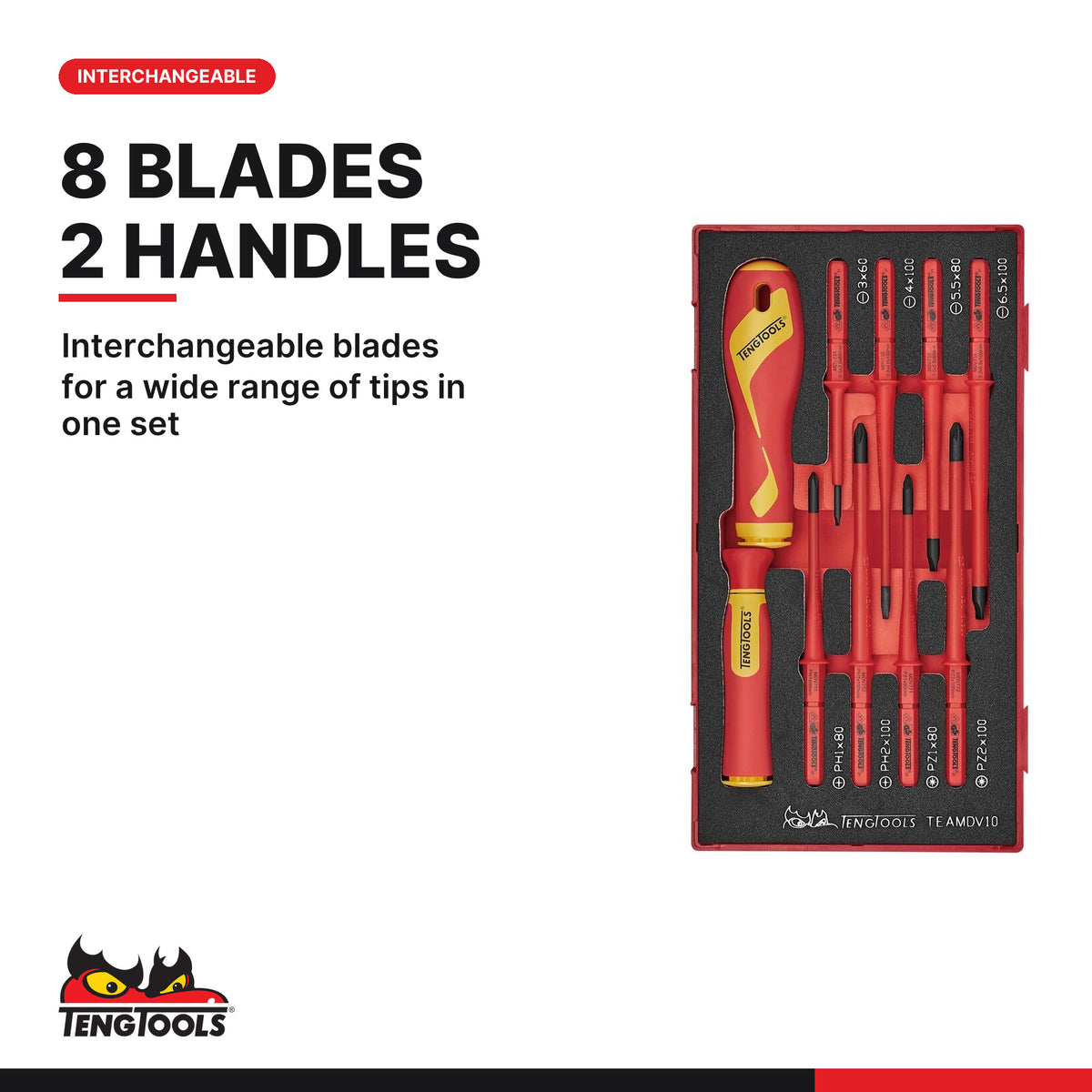 Teng Tools TEAMDV10 Insulated Interchangeable Blade Set FOAM1 10 Pieces, interchangeable blades for a wide range of tips in o