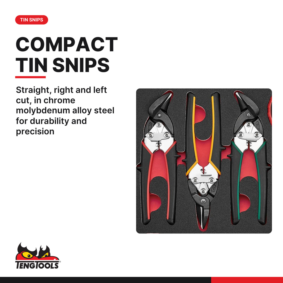 Teng Tools TEDCT06 Industrial cutting tool set FOAM2 6 pieces, straight, right and left cut, in chrome molybdenum alloy steel
