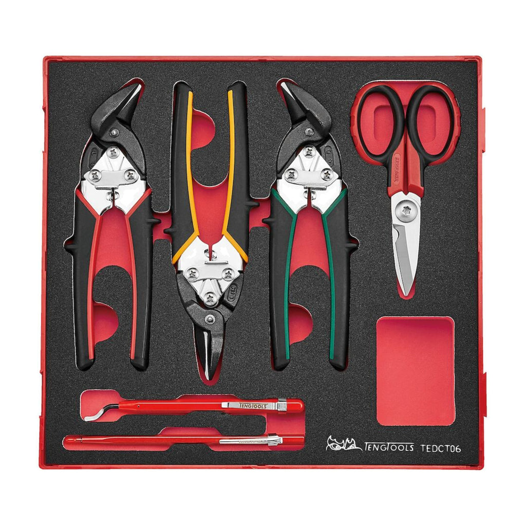 Teng Tools TEDCT06 Industrial cutting tool set FOAM2 6 pieces on a white background