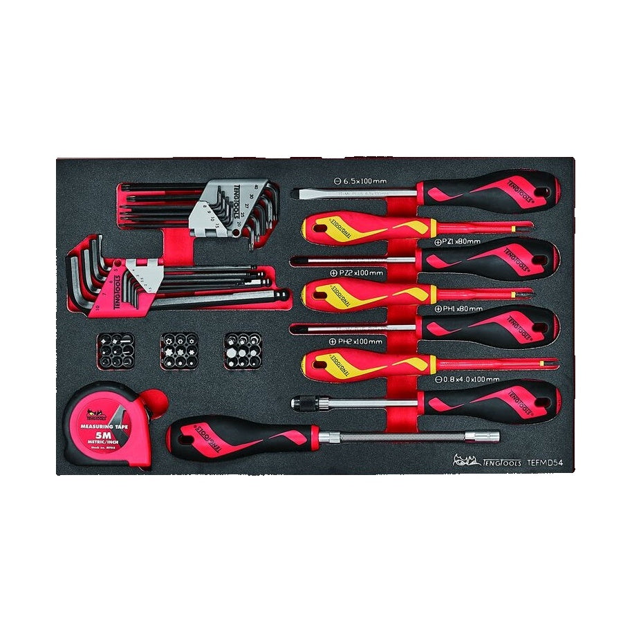 Teng Tools TEFMD54 Screwdriver & Hex/TX Key Set 1 FOAM3 54 Pieces on a white background
