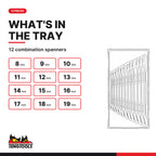 Teng Tools TT1236 12 piece metric combination spanner set 8-19 mm in a TT1 tray, what is in the tray: 8 to 19 mm