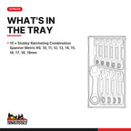 Teng Tools TT6010MRS Stubby Ratcheting Combination Spanner Set TT1 10 Pieces, what's in the tray