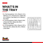 Teng Tools TTD914N Screwdriver Set Mixed TT2 14 Pieces, what's in the tray