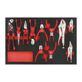 Teng Tools TTEMB11 Plier Set FOAM4X4 11 Pieces on a white background