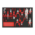 Teng Tools TTEMB11 Plier Set FOAM4X4 11 Pieces on a white background
