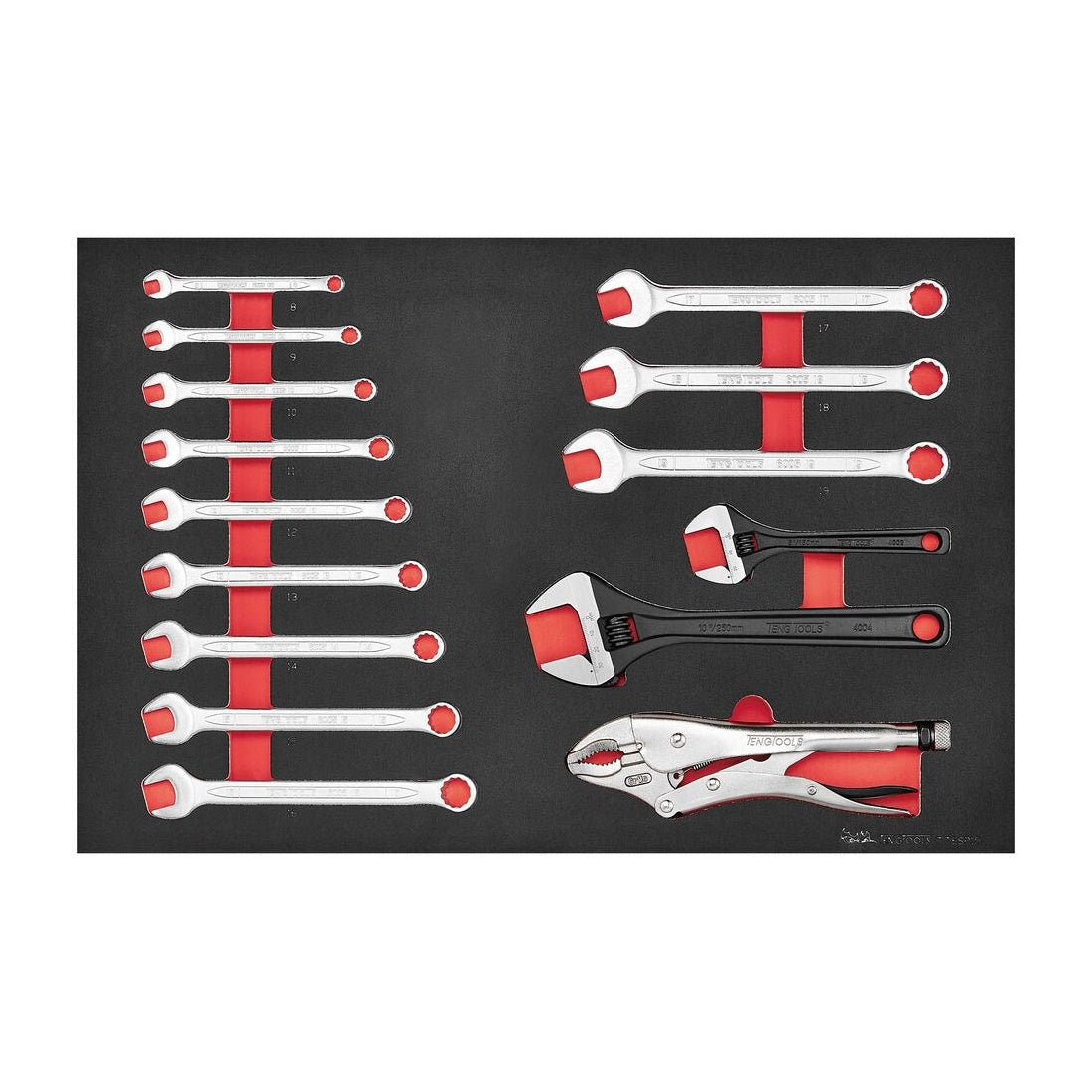 Teng Tools TTESP15 Spanner set FOAM4X4 15 pieces on a white background