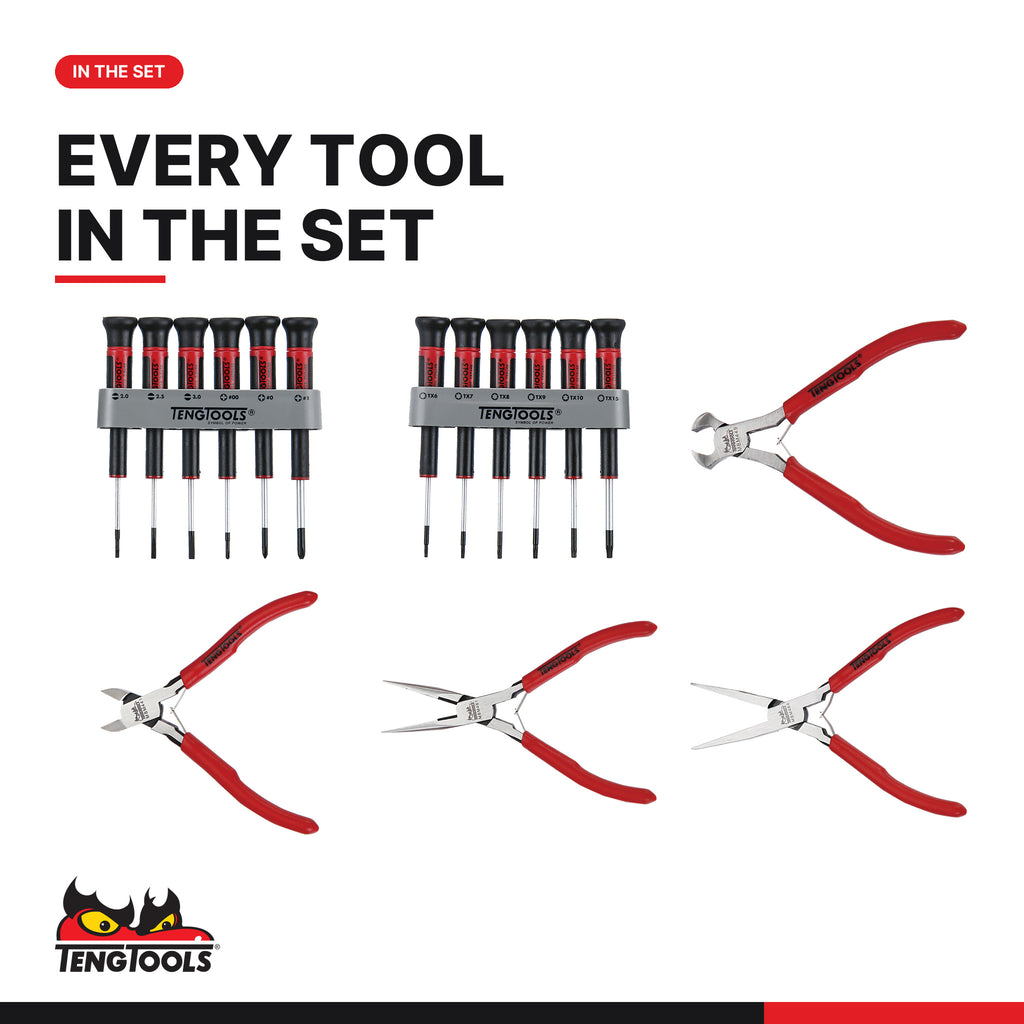 Teng Tools TTMI16 Mini Pliers & Screwdriver Set TT1 16 Pieces, every tool in the set