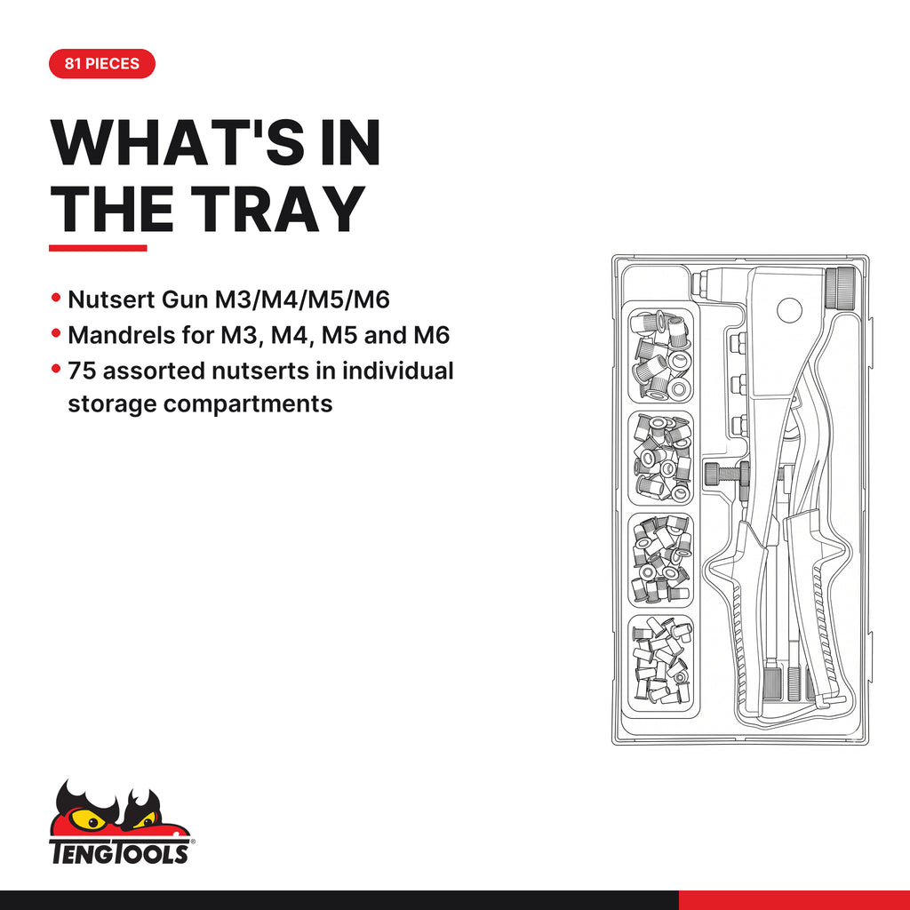 Teng Tools TTNR81 Nutsert Gun Set TT1 81 Pieces, what's in the tray