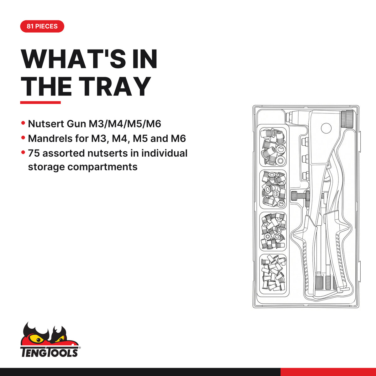 Teng Tools TTNR81 Nutsert Gun Set TT1 81 Pieces, what's in the tray